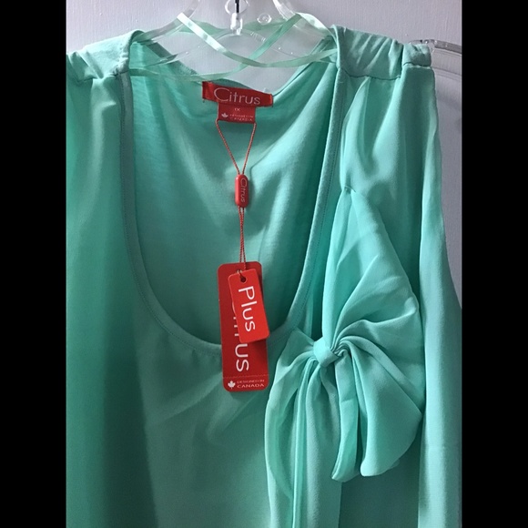 🌟 Plus Tank with Chiffon Overlay - Picture 2 of 6